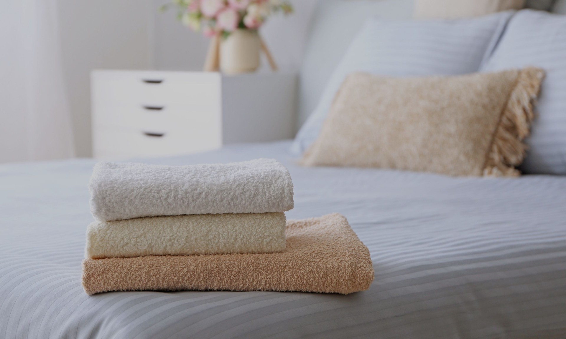 Services de ménage premium